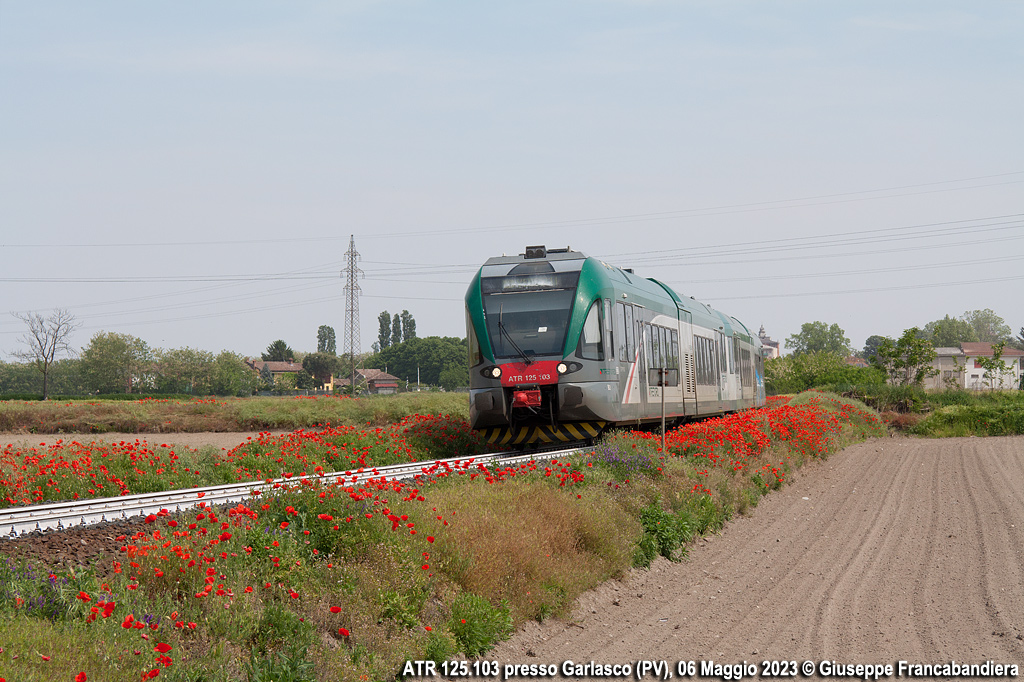 Treno Regionale Trenord con Autotreno ATR 125.103 Foto Giuseppe Francabandiera