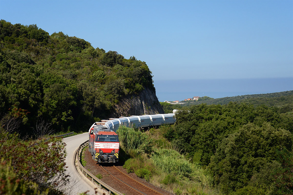 Tradotta SERFER con Locomotiva Diesel G2000.02 Foto Massimo Rinaldi